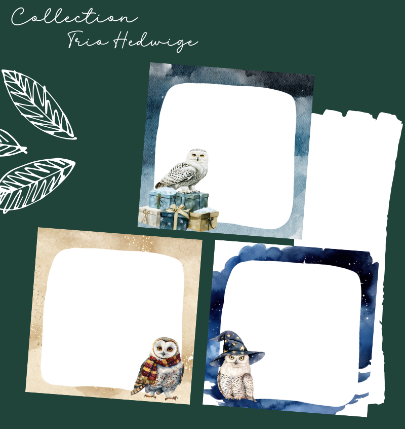 Trio Hedwige