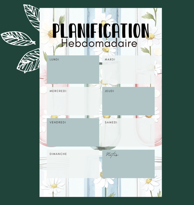 Rentrée Scolaire