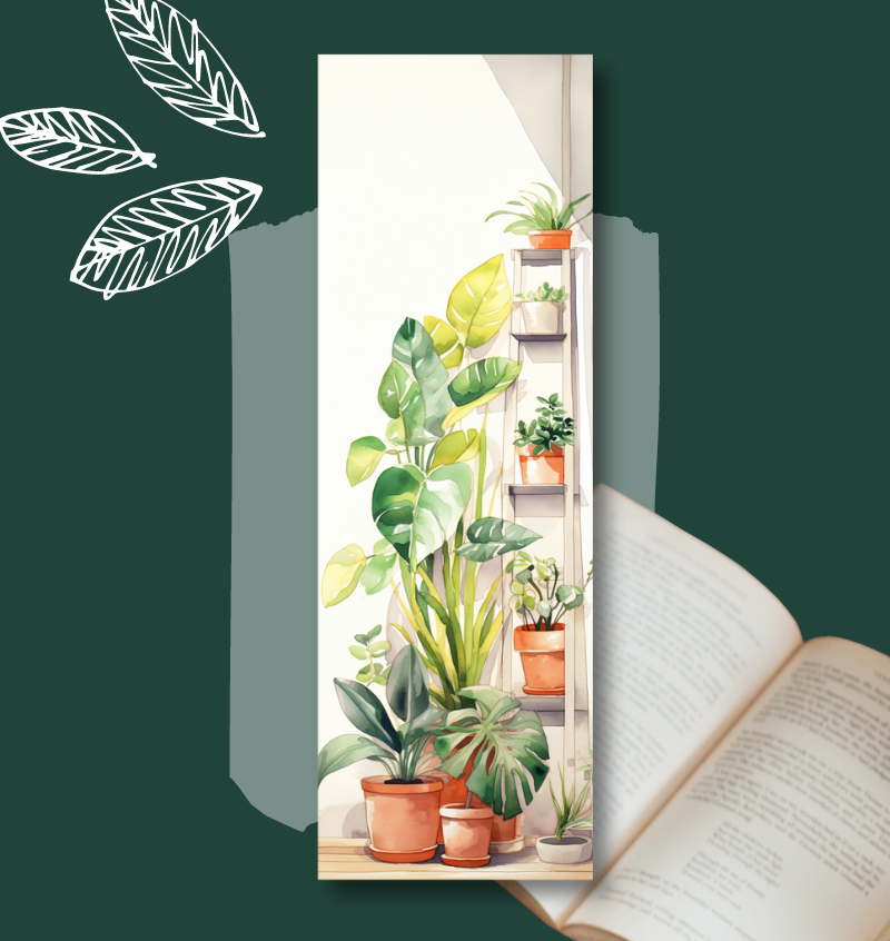 Signet Plantes