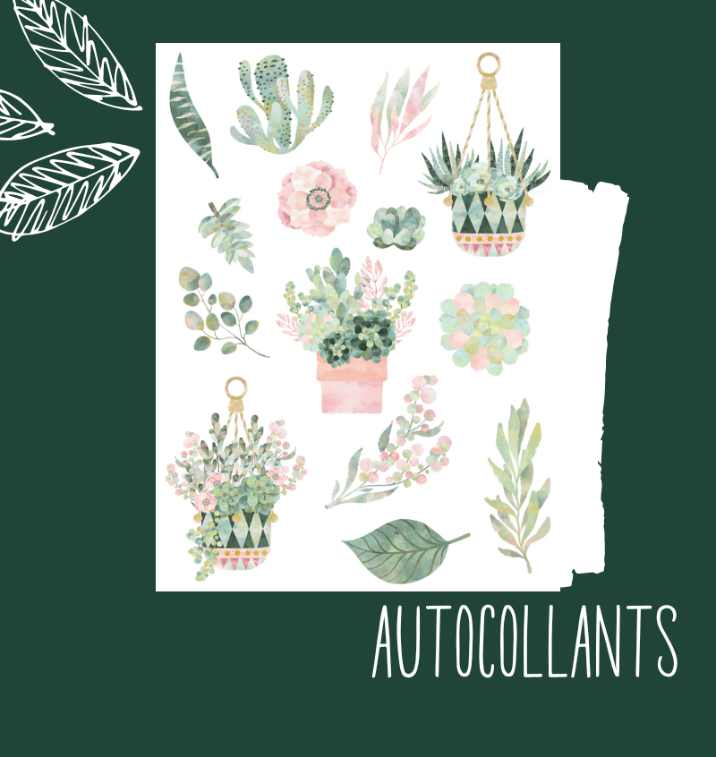 Autocollants Succulente