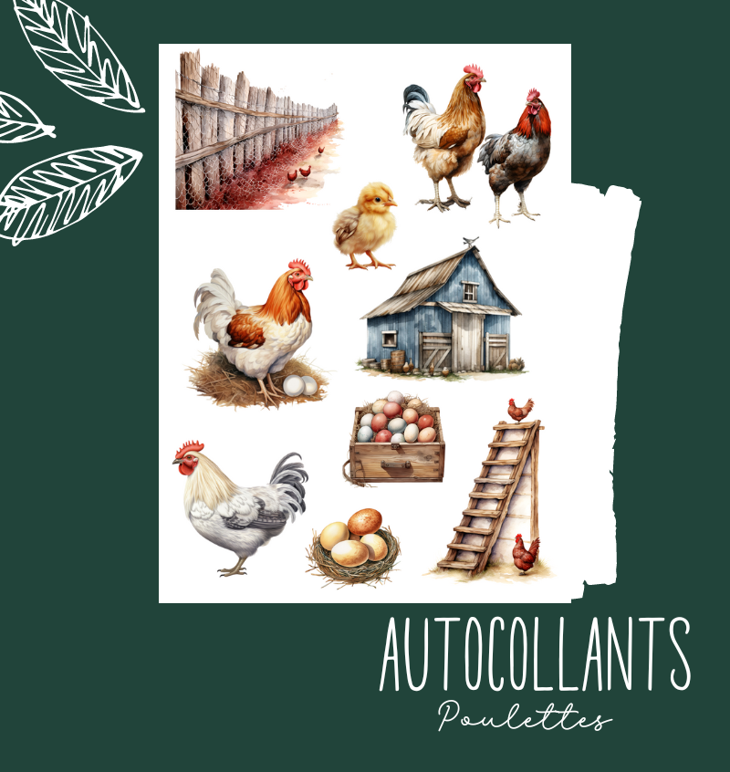 Autocollants Poulettes