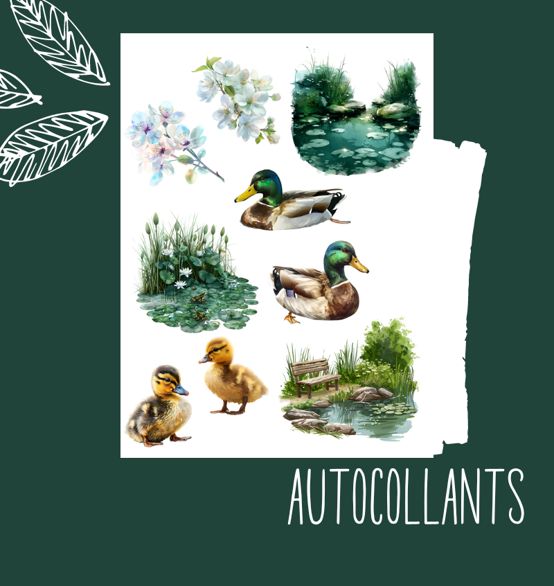 Autocollants Bord d'Étang