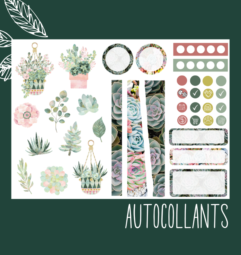 Autocollants Succulente