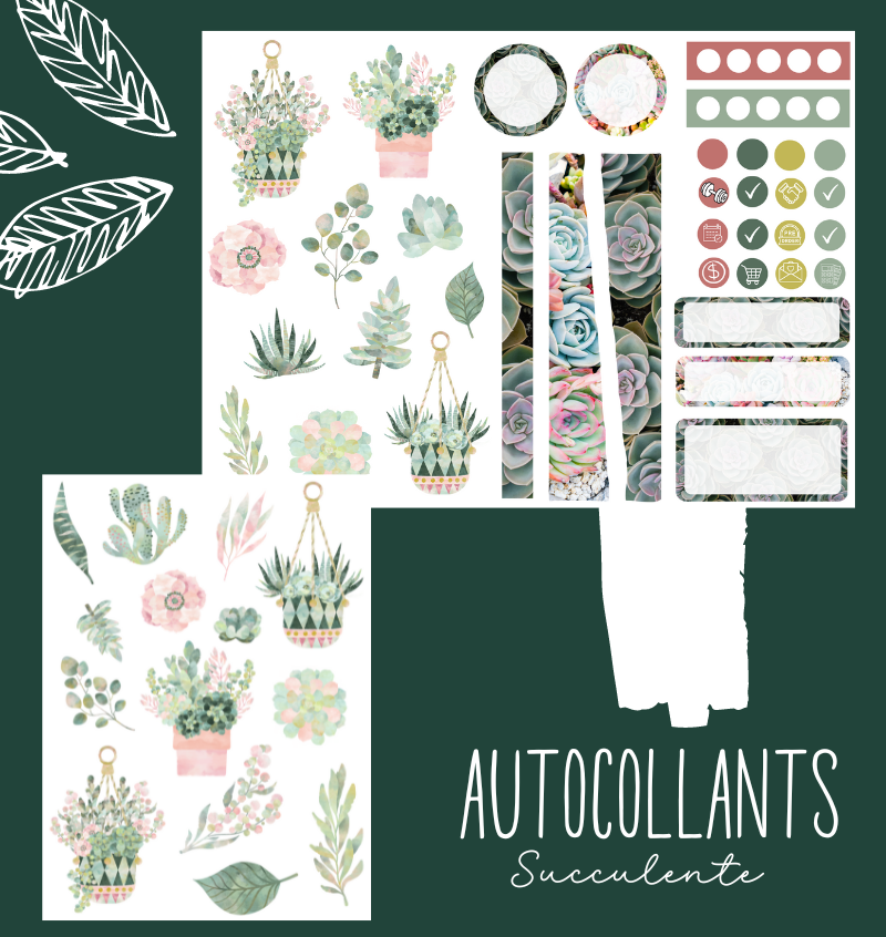 Autocollants Succulente