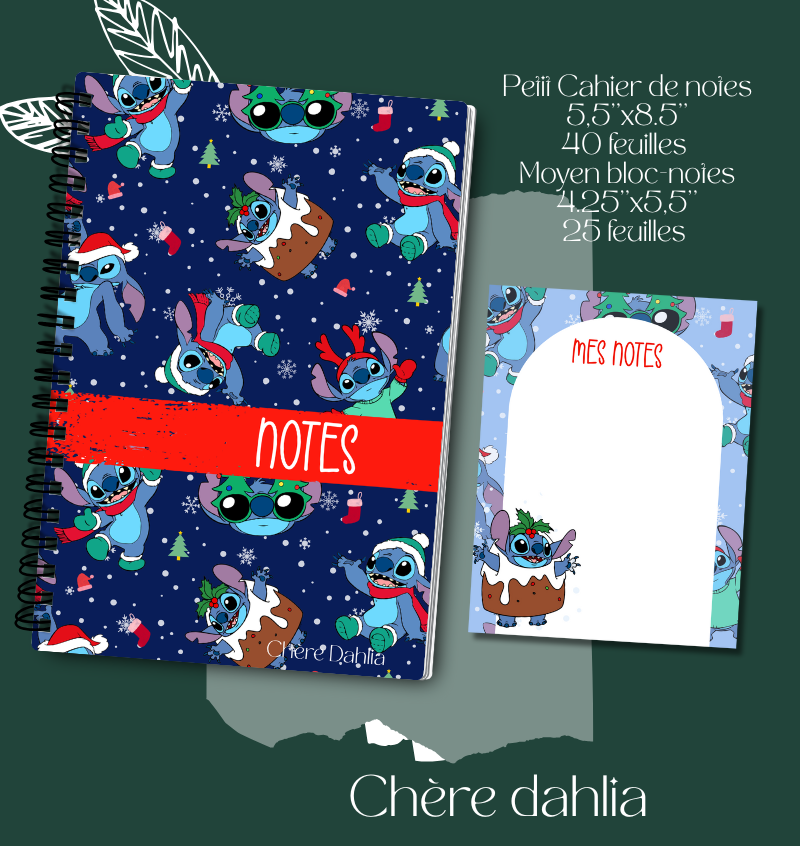 Duo extraterrestre de Noël