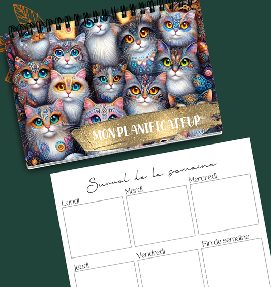 Planificateur hebdomadaire Chatons