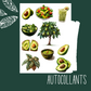 Autocollants Avocado